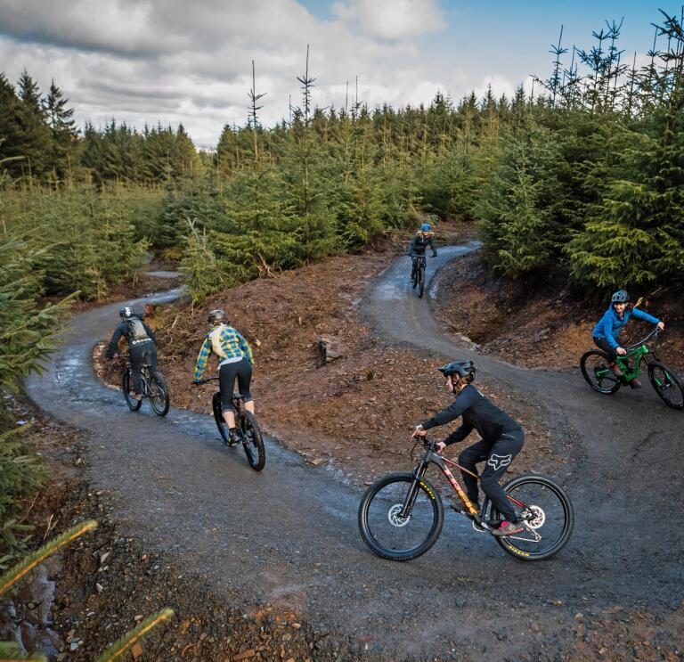 Bicycle trail clearance